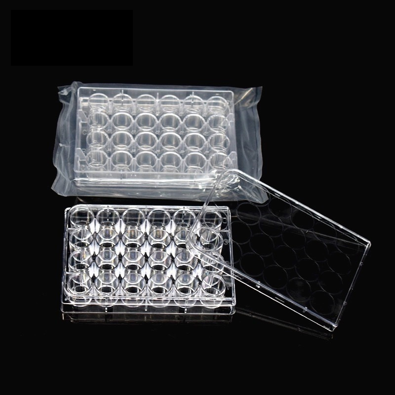 Custom High Transparency 24‑well Cell Growth Culture Plate Clear Flat Bottom