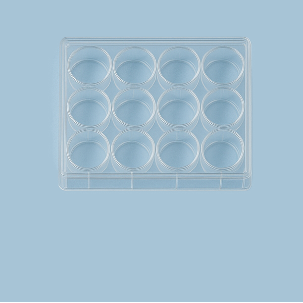 Right Cell Culture Plate.jpg