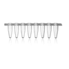PCR Strip Tubes
