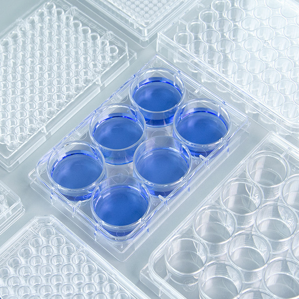 Various Cell Culture Plate.jpg